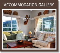accommodation-gallery
